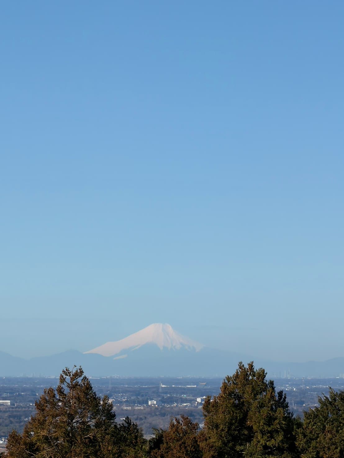 大パノラマ