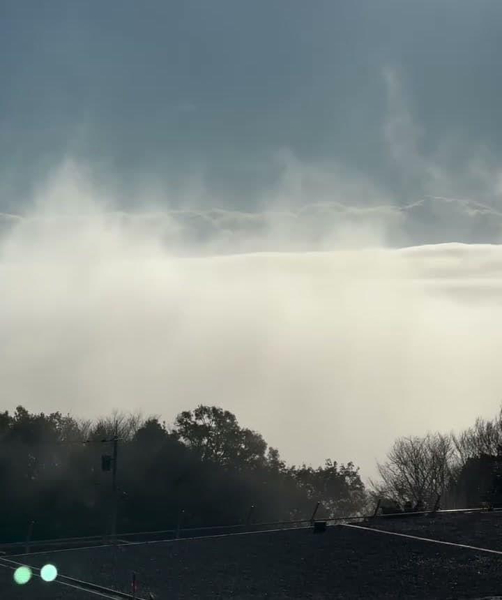 雲海